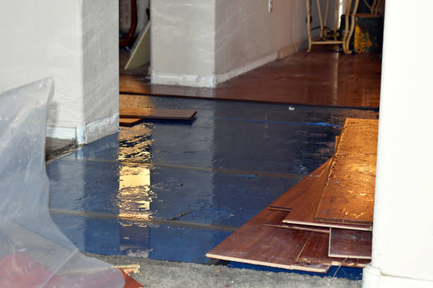 Professional Basement Flood Cleanup technician working in Dennysville, ME
